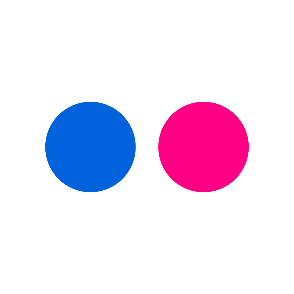 Flickr Icon